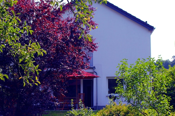 Blick auf das Haus vom Garten