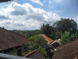 Habitación estándar | Terraza o patio