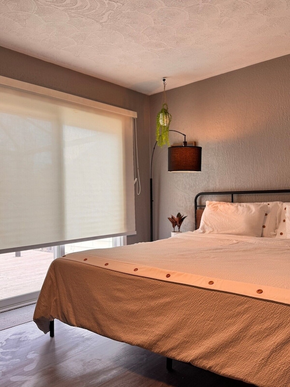 The Bachelor Suite At Stanley/kitchenette&backyard - Detroit, MI