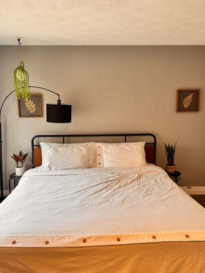 1 chambre, fer et planche Ă repasser, accĂšs Internet, draps fournis