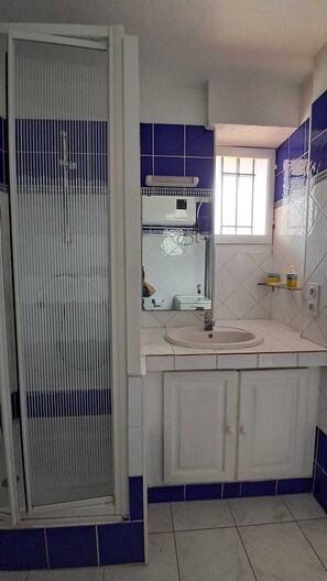 Hair dryer, towels, soap, toilet paper