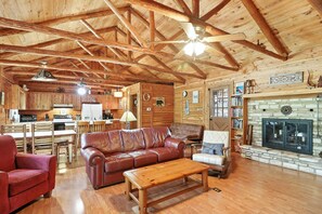 TV, fireplace, books