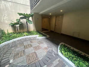 外觀
