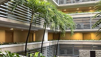 Outdoor pool, open 9:00 AM to 8:00 PM, sun loungers