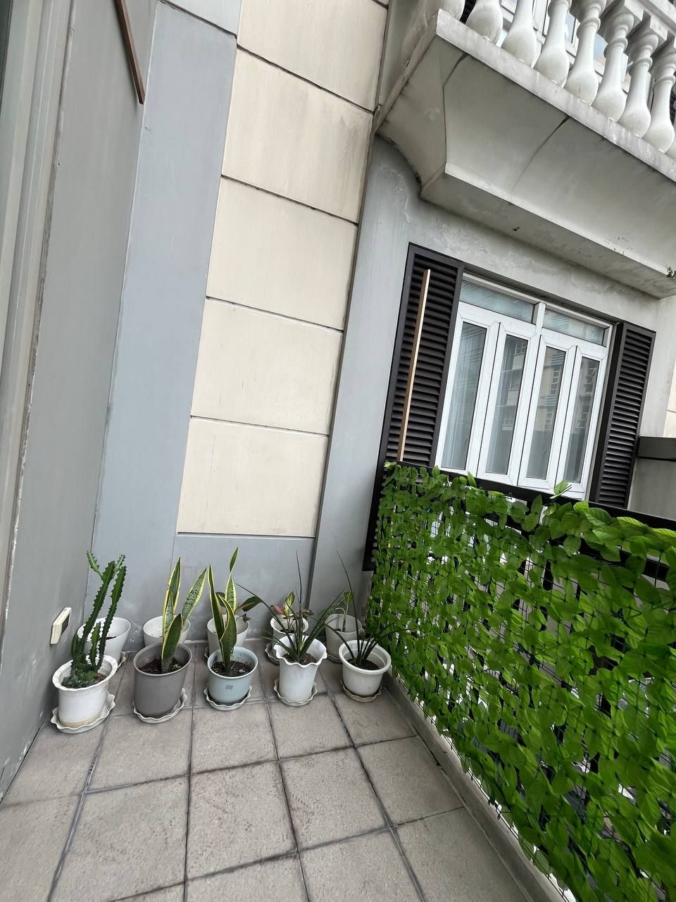 A tiled patio with potted plants and a green hedge.