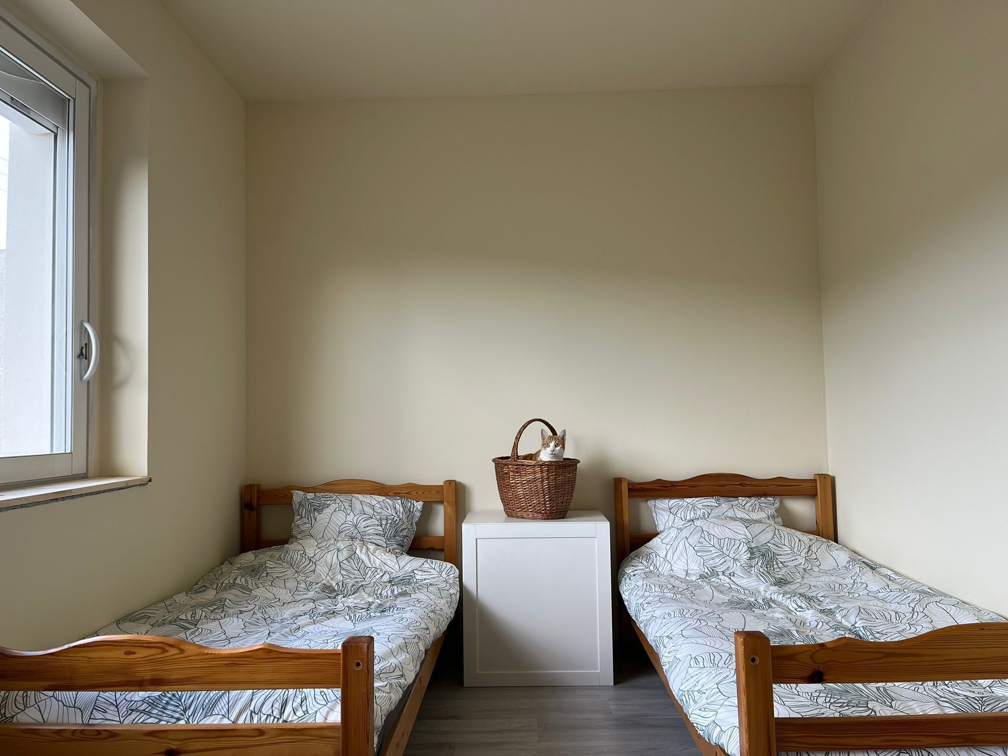 Chambre à deux lits séparés et Paddy