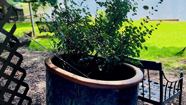A potted plant on a patio with a bench and a view of a lake. - Beautiful 2-bed Garden Lake Apartment, w/ Hot Tub, BBQ, Boat, Parking, Buchanan (Buchanan)