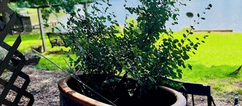 Beautiful 2-bed Garden Lake Apartment, w/ Hot Tub, Wood Stove, Parking, Buchanan