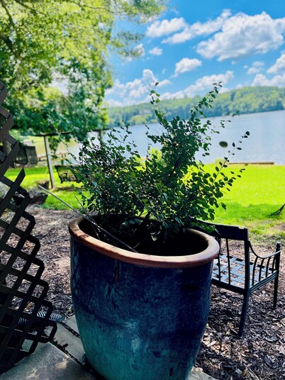 Beautiful 2-bed Garden Lake Apartment, w/ Hot Tub, Wood Stove, Parking, Buchanan