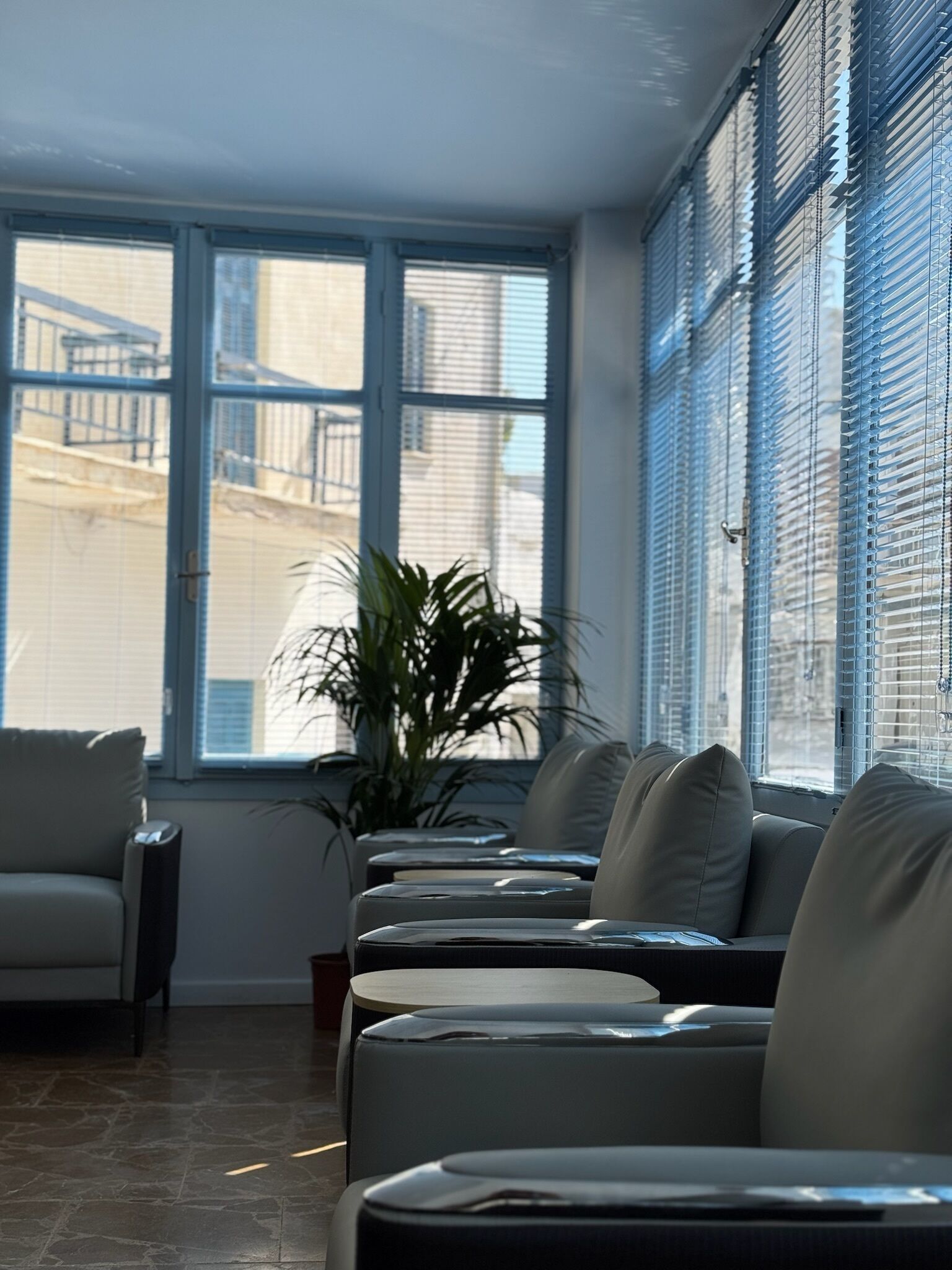 A room with a seating area, large windows with blinds, a potted plant, and a view of a building outside.