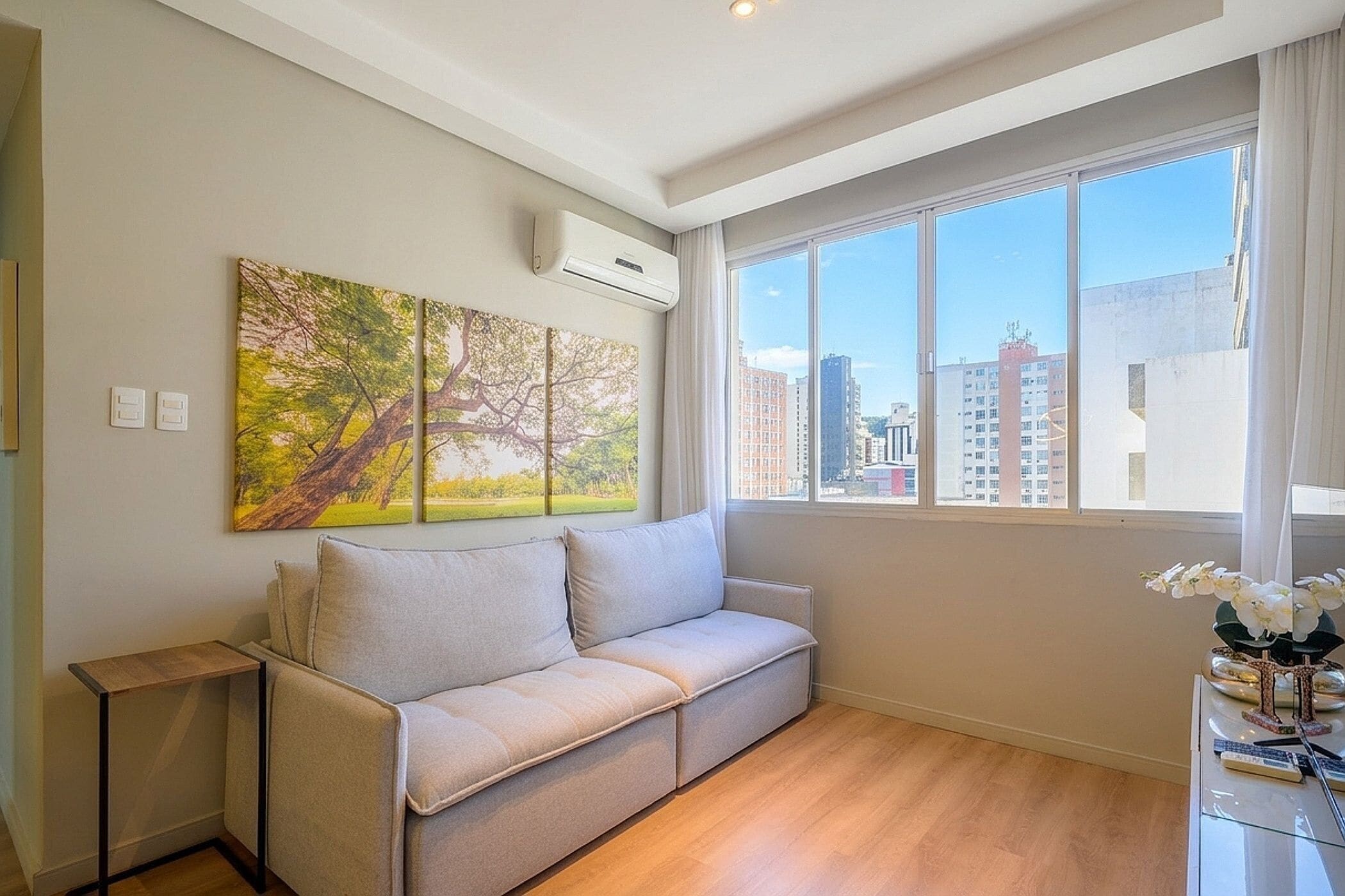 Basic Apartment | Living area