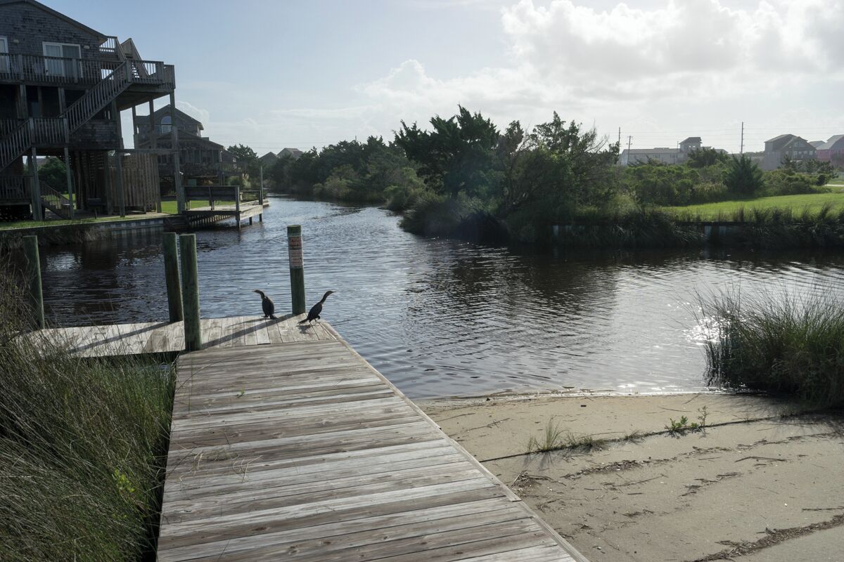 Eine Holzsteg, der sich in einen ruhigen Fluss erstreckt, mit einem Vogel auf dem Steg und einem Gebäude mit Terrasse auf der linken Seite.