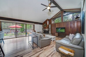 TV, fireplace, books