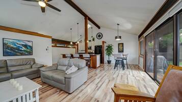 TV, fireplace, books