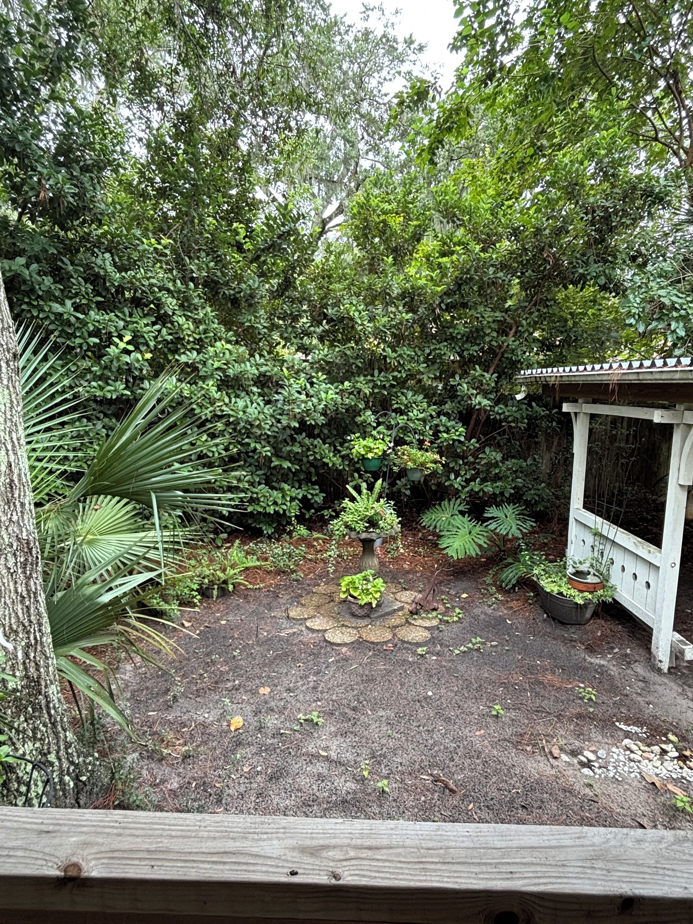 Un jardin avec une terrasse en bois, diverses plantes et un petit abri de jardin.