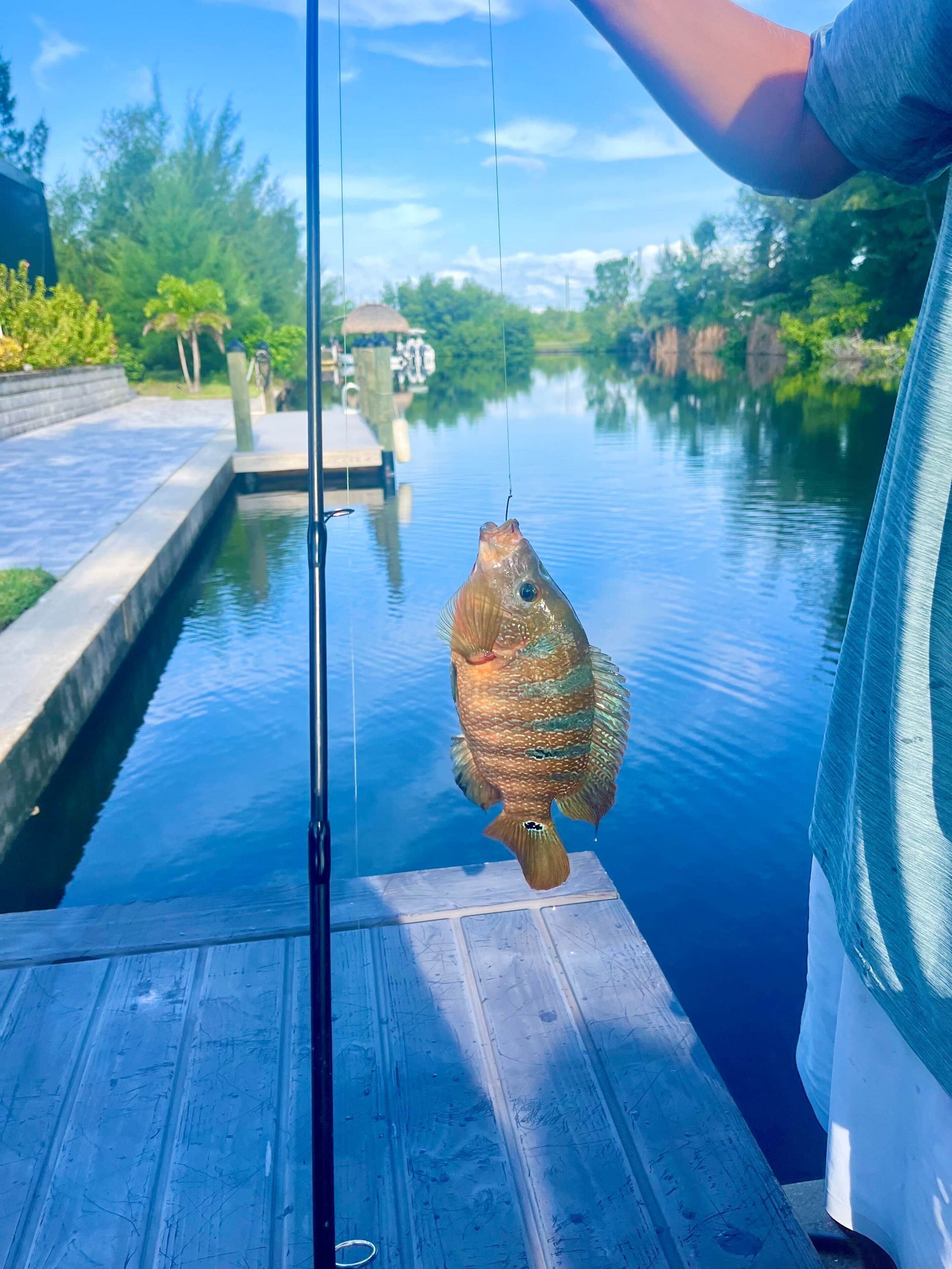 Een hengel met een vis eraan, een houten steiger en een rustig wateroppervlak met begroeiing op de achtergrond.
