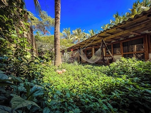 Property grounds - La Posada (Máncora)
