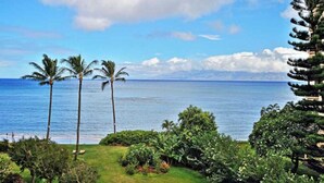 Une vue sur une plage tropicale, avec des palmiers et un ciel dégagé.