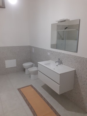 Shower, hair dryer, bidet, towels