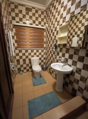 Hair dryer, towels, soap, toilet paper