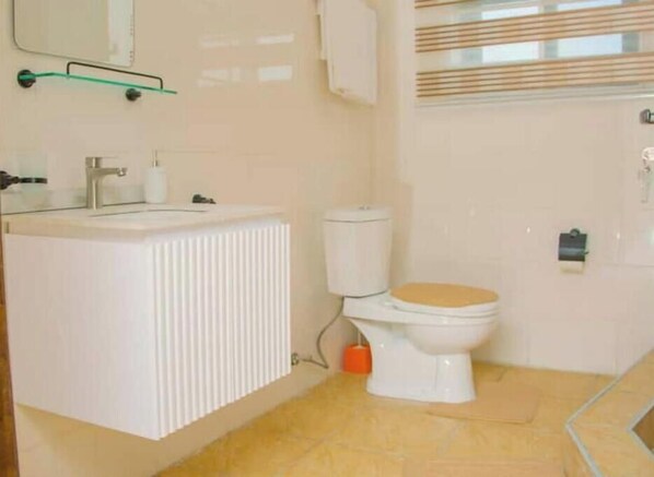 Secador de pelo, toallas, jabón, papel higiénico