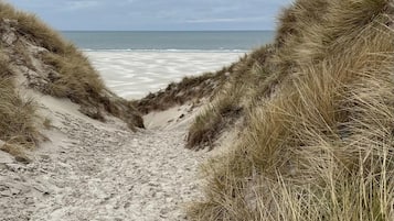 On the beach
