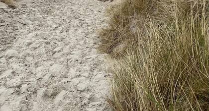 Amrum Lounge - Stilvolle Ferienwohnung mit Gartenidylle
