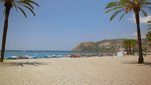 A beach with palm trees, umbrellas, and a clear sky.