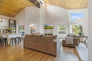 TV, fireplace, video games, books
