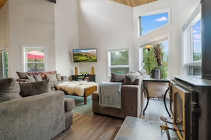 TV, fireplace, video games, books