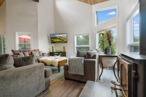 TV, fireplace, video games, DVD player