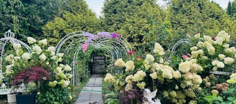 Beautiful house with 3 bedrooms in Surrey