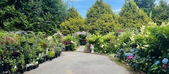 Nice house with 2 bedrooms in Surrey