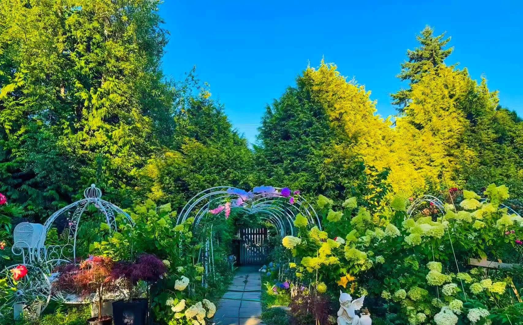 A garden pathway with an archway, surrounded by lush greenery and flowering plants.