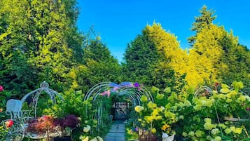 Un sentier de jardin agrémenté d’une arche, entouré d’une végétation luxuriante et de plantes en fleurs.