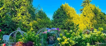 Cozy 3BR Villa · Big garden rose· photos for festival ,Near Beach, breakfast