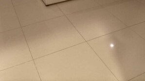 إستديو | واي فاي مجانًا