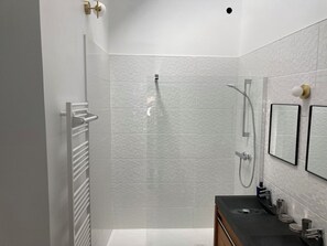 Shower, hair dryer, soap, toilet paper