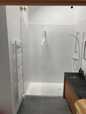 Shower, hair dryer, soap, toilet paper - Le 4, route de la mer (Lanloup)
