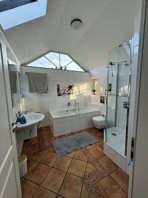 Shower, hair dryer, towels