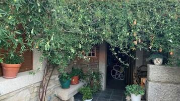 Detalle del exterior