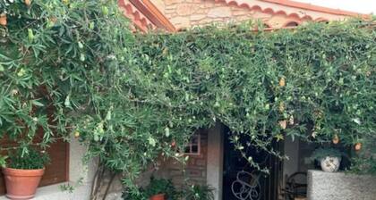 CASA RUAL ABUELA CAROLINA