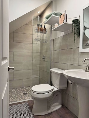 Shower, hair dryer, towels