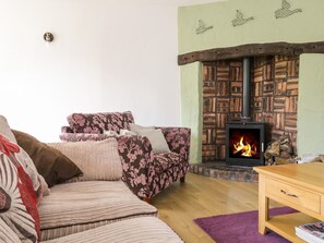 Living area - Cyffdy Cottage - Tegid (Bala)