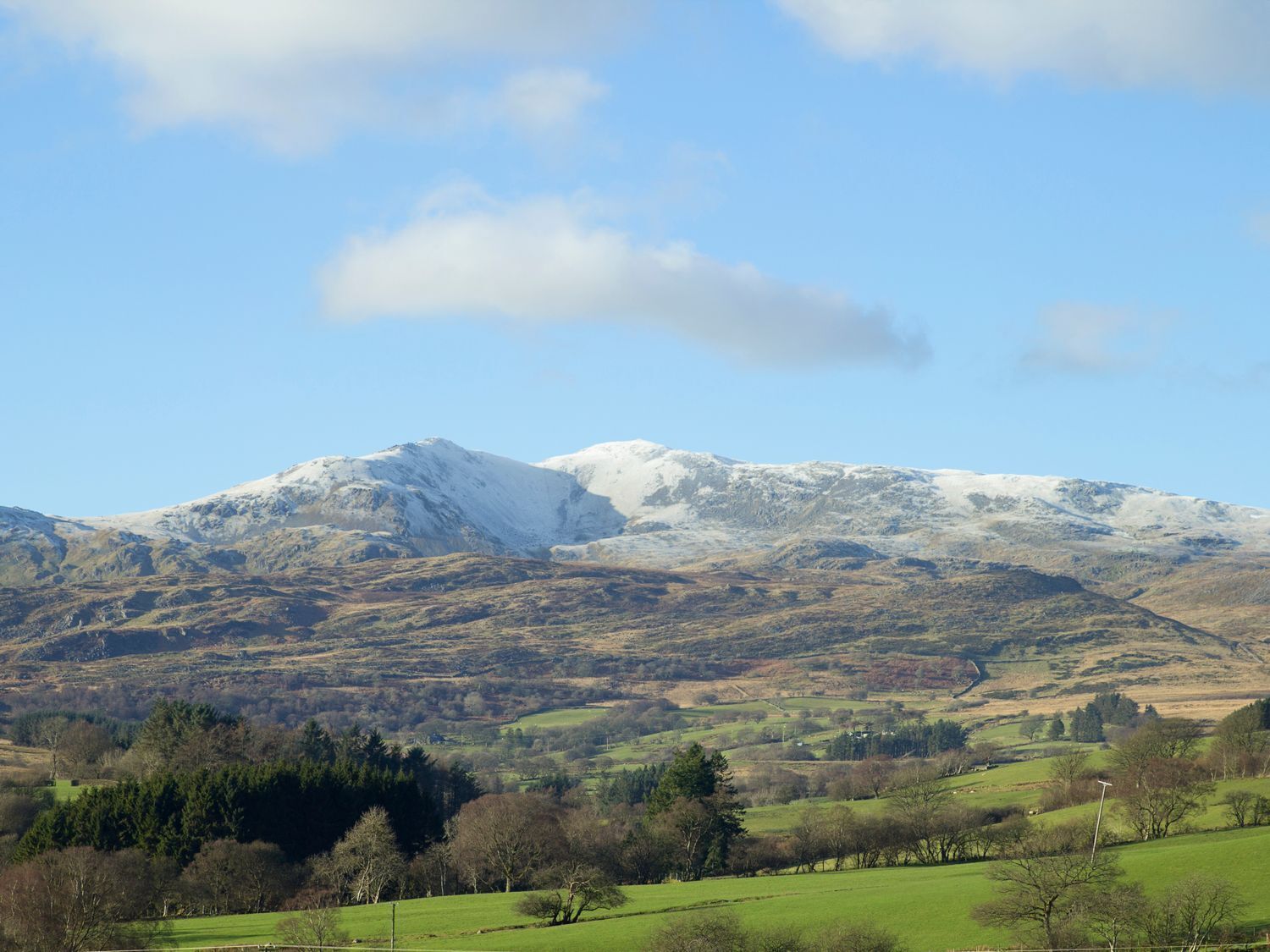 A mountainous landscape with a snow-capped peak, green fields, and scattered trees.