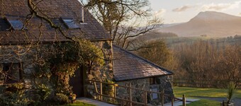 Cyffdy Cottage - Tegid