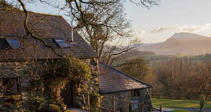 Cyffdy Cottage - Tegid