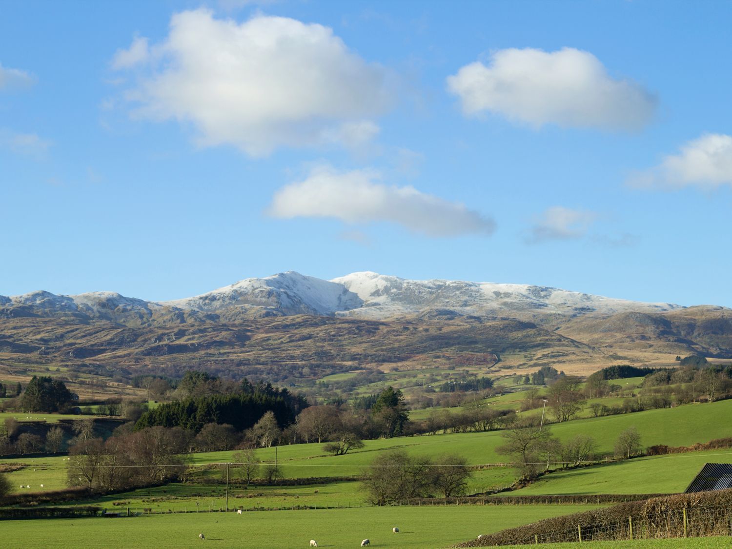 Un paysage rural caractérisé par des collines douces, une chaîne de montagnes en arrière-plan et un ciel bleu dégagé.
