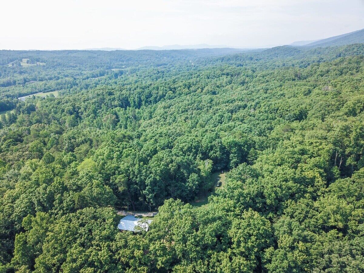 Une vue aérienne d’une forêt dense, avec une petite clairière et un bâtiment.