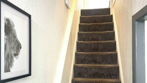 Slaapzaal, 1 slaapkamer | Interieur